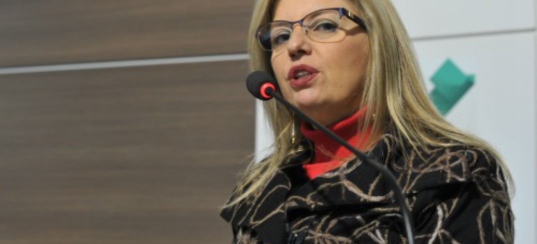 Zeli Dambros, presidente do Conselho da Empresária da CIC, lidera missão internacional - Foto: Julio Soares/Objetiva