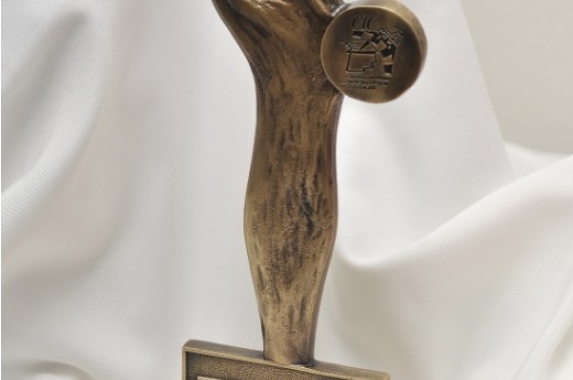 Troféu ARI Serra Gaúcha de Jornalismo - Foto: Julio Soares/Divulgação