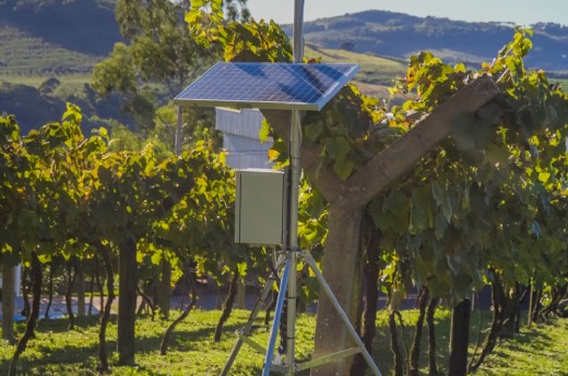 Rede com oito estações meteorológicas fornecerá dados climáticos em tempo real para produtores rurais e instituições locais - Foto: Benito Rizzi