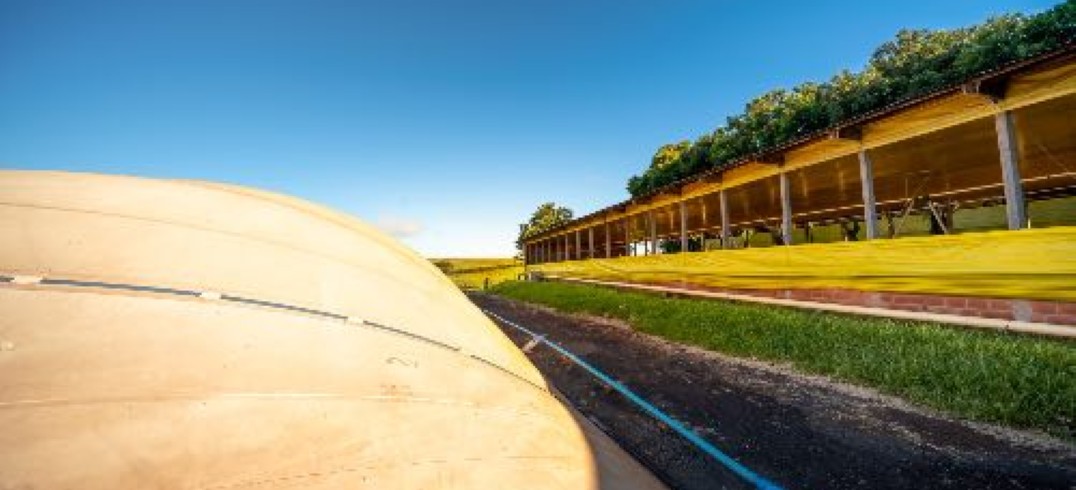 Aplicação energética: plantas de biogás em operação no Brasil geram energia elétrica, térmica e biometano - Foto: Alexandre Marchetti