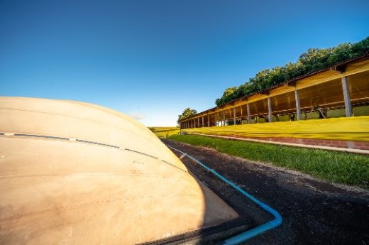 Aplicação energética: plantas de biogás em operação no Brasil geram energia elétrica, térmica e biometano - Foto: Alexandre Marchetti